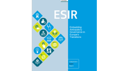 20241211 ESIR Policy Brief.png