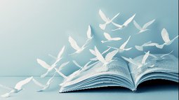 Buch Tauben.jpg