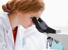 Forscherin_Mikroskop.jpg