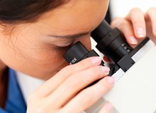 Forscherin Mikroskop 2.jpg