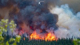 Waldbrand 460.jpg